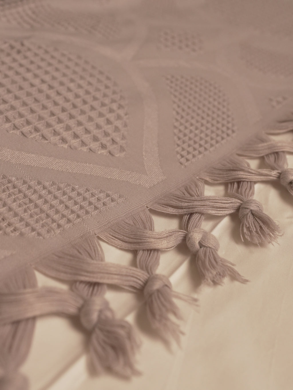 Tassels Jacquard Blanket