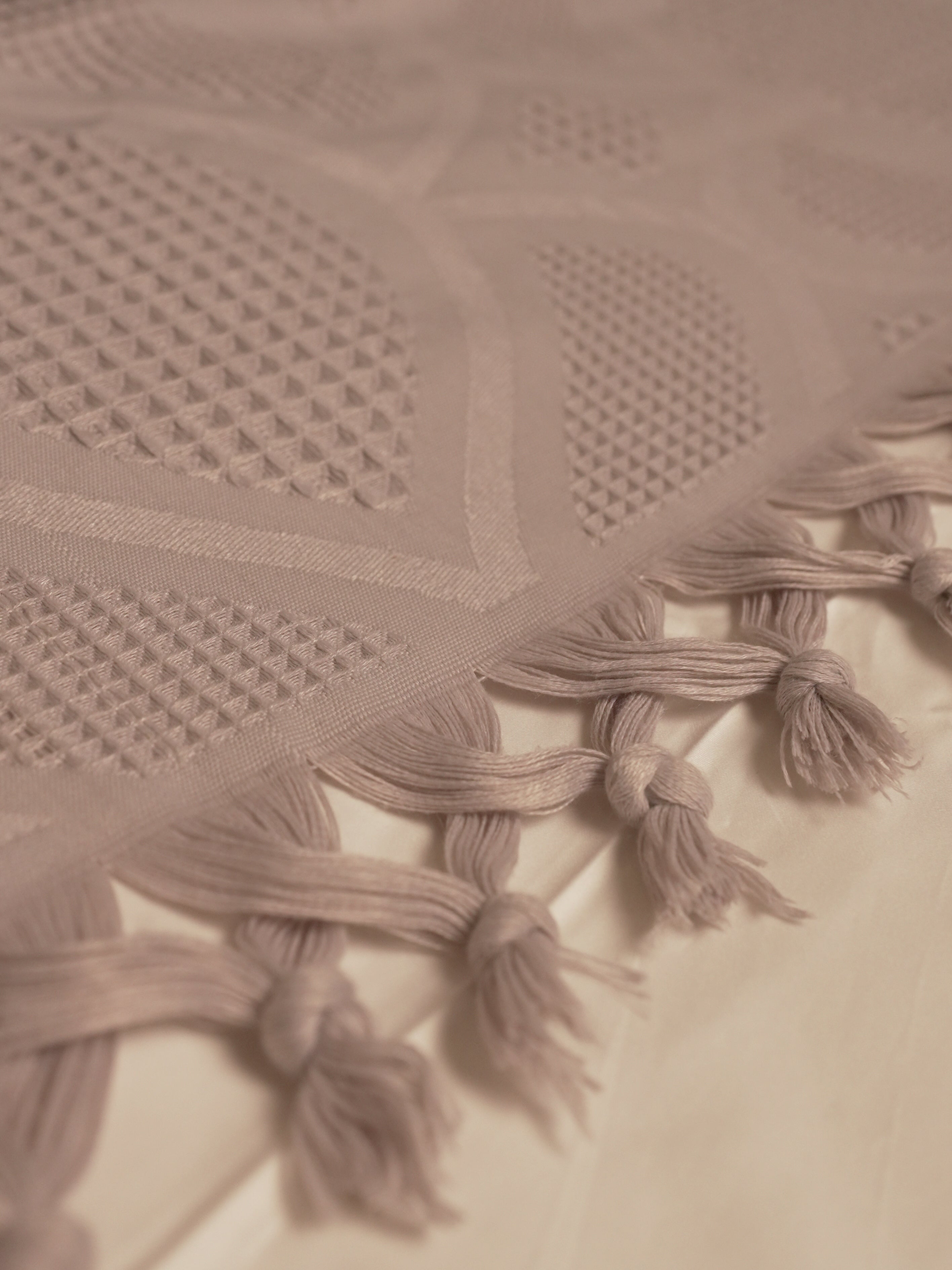 Tassels Jacquard Blanket