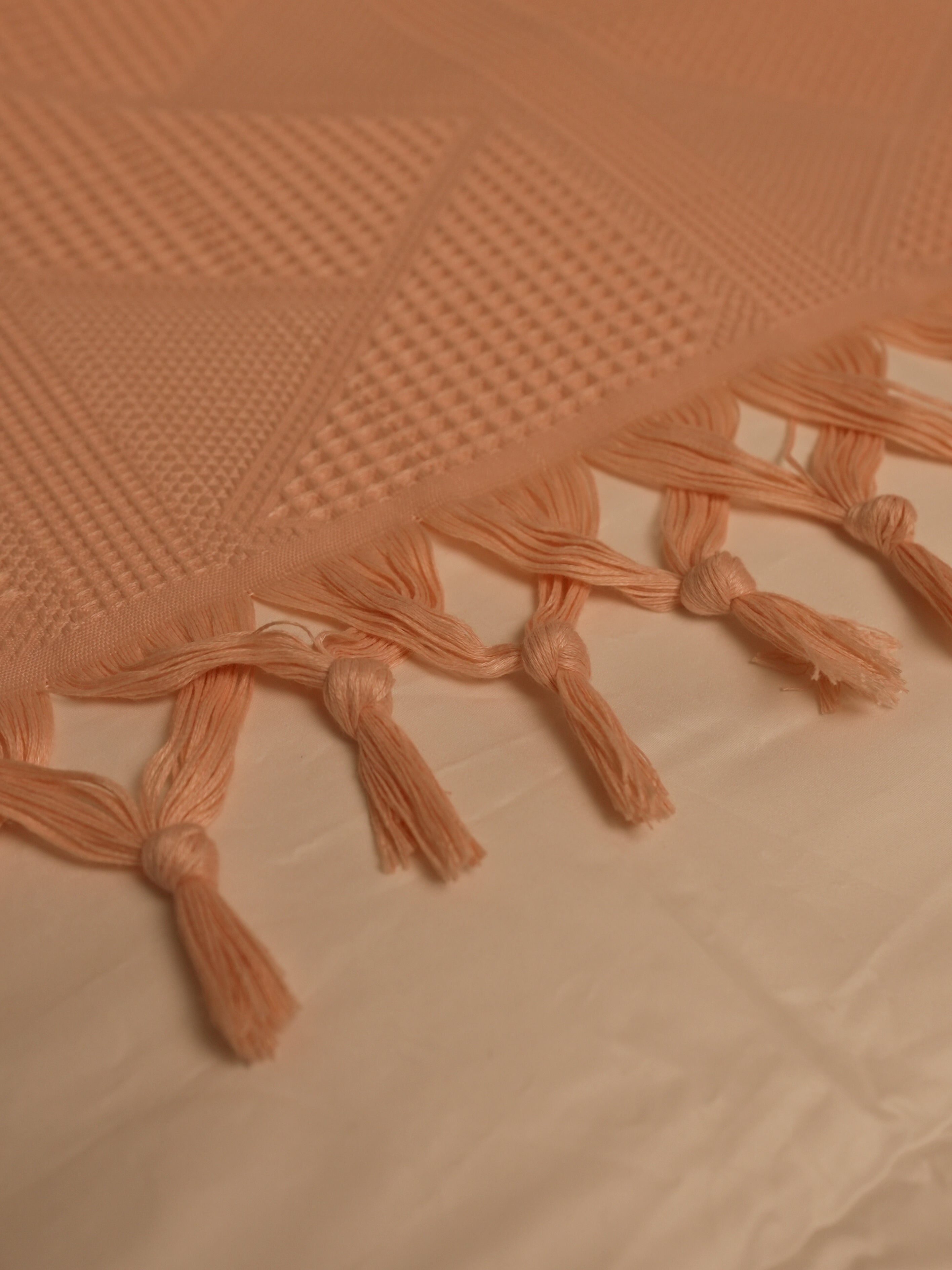 Tassels Jacquard Blanket