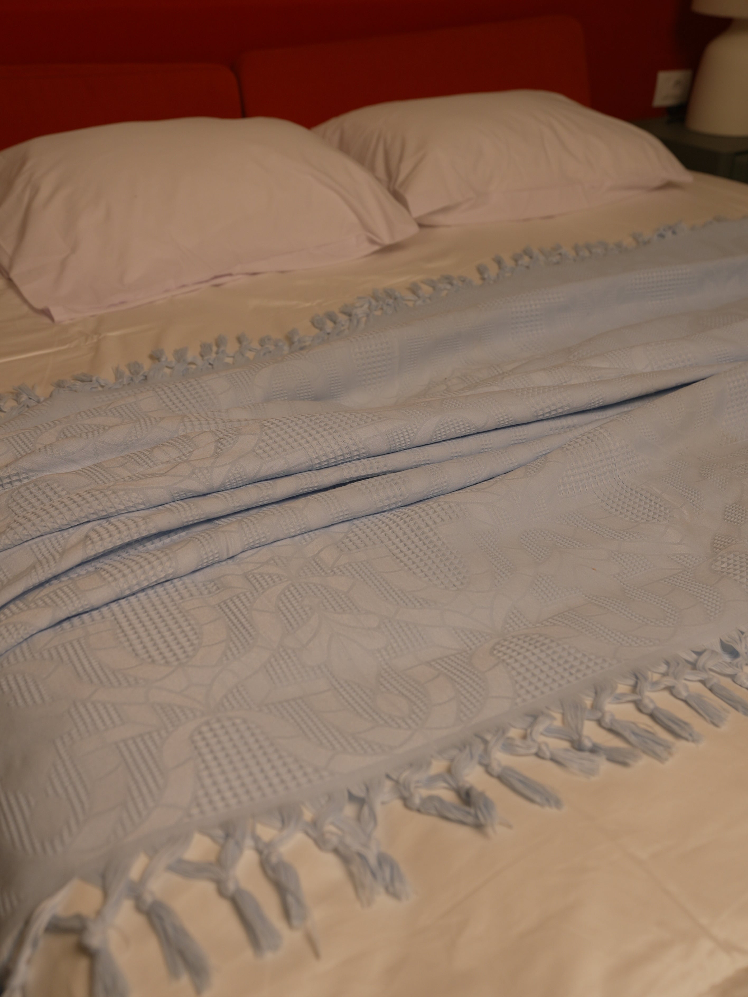 Tassels Jacquard Blanket