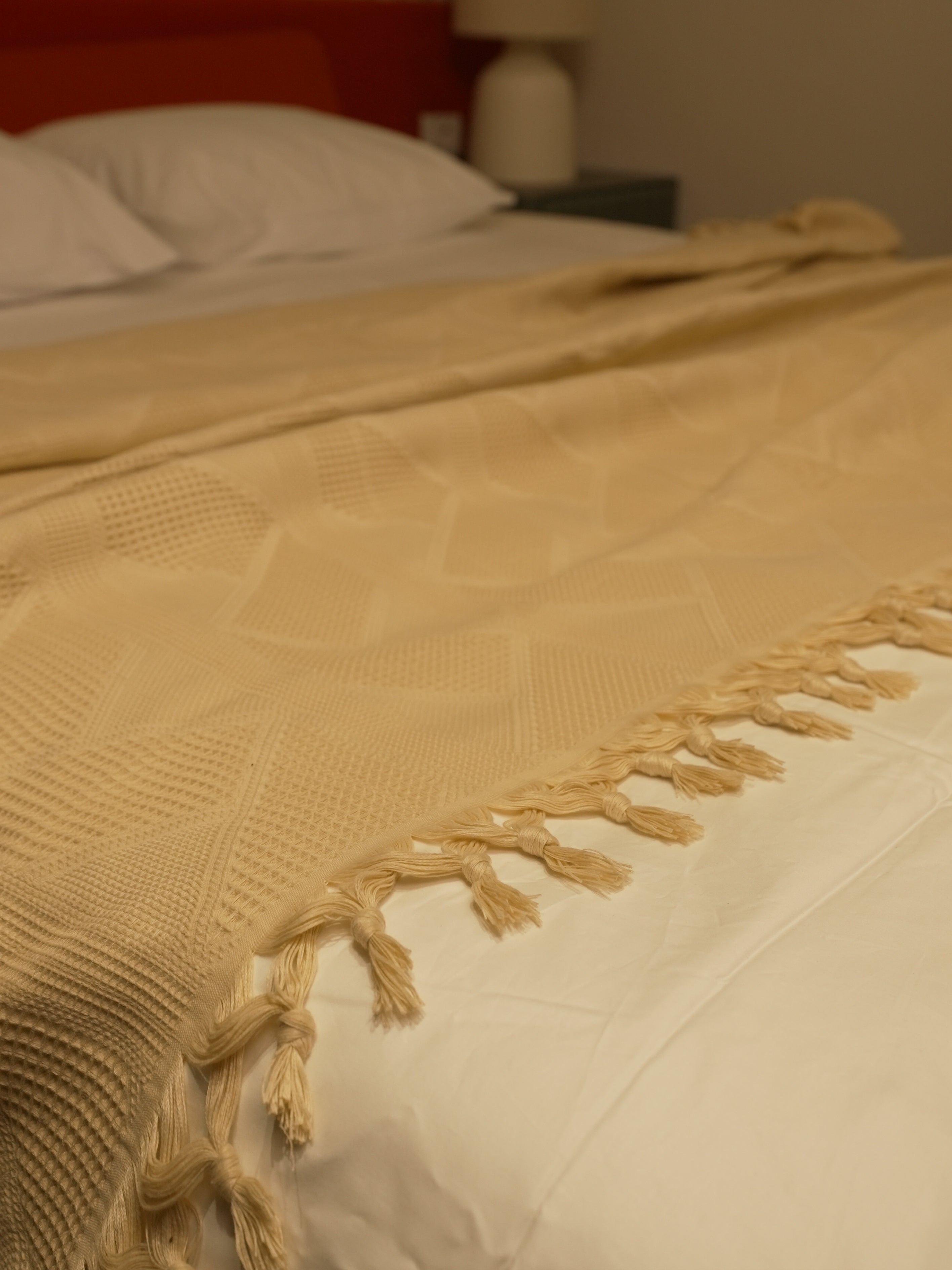 Tassels Jacquard Blanket